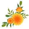 marigold777